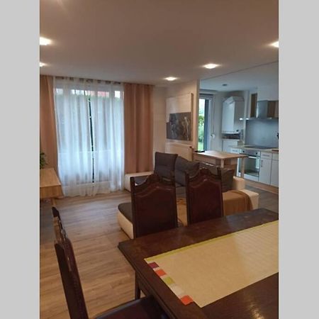 Tres Bel Appartement Rez De Jardin Appart De 53M2. Pfastatt 外观 照片
