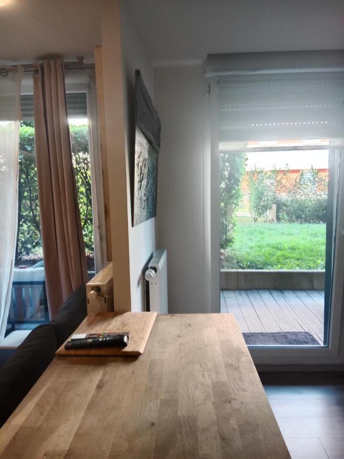 Tres Bel Appartement Rez De Jardin Appart De 53M2. Pfastatt 外观 照片
