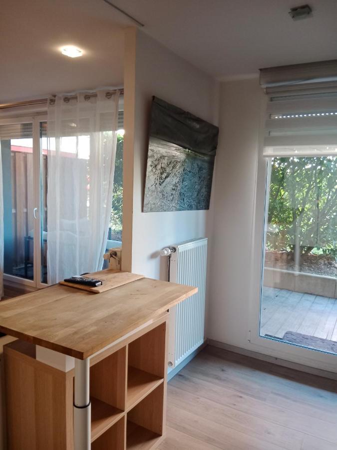 Tres Bel Appartement Rez De Jardin Appart De 53M2. Pfastatt 外观 照片